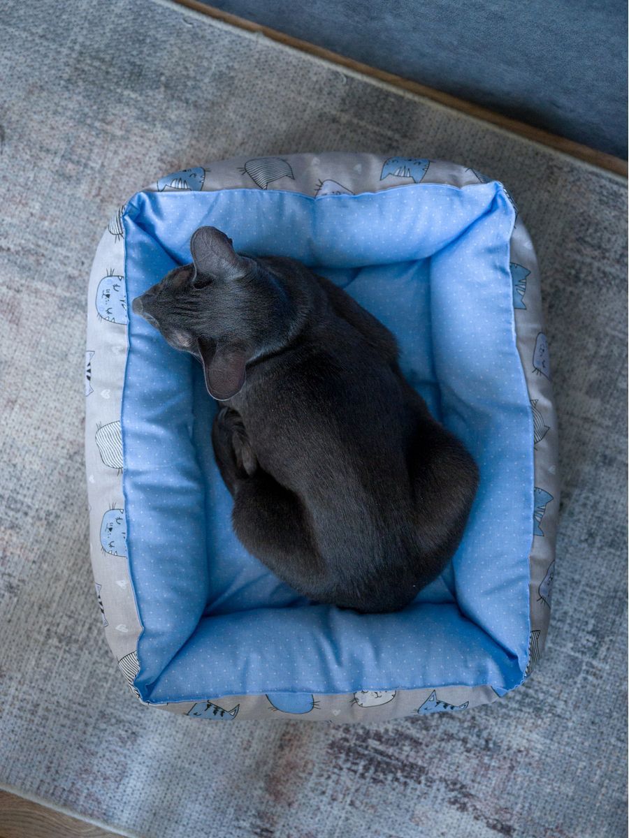 снимок Лежак для кошек и собак "кошки" от магазина BIO-TEXTILES ОПТ