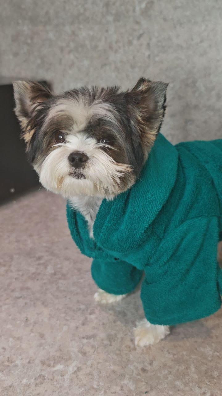 снимок Халат для собак махровый изумруд от магазина BIO-TEXTILES ОПТ