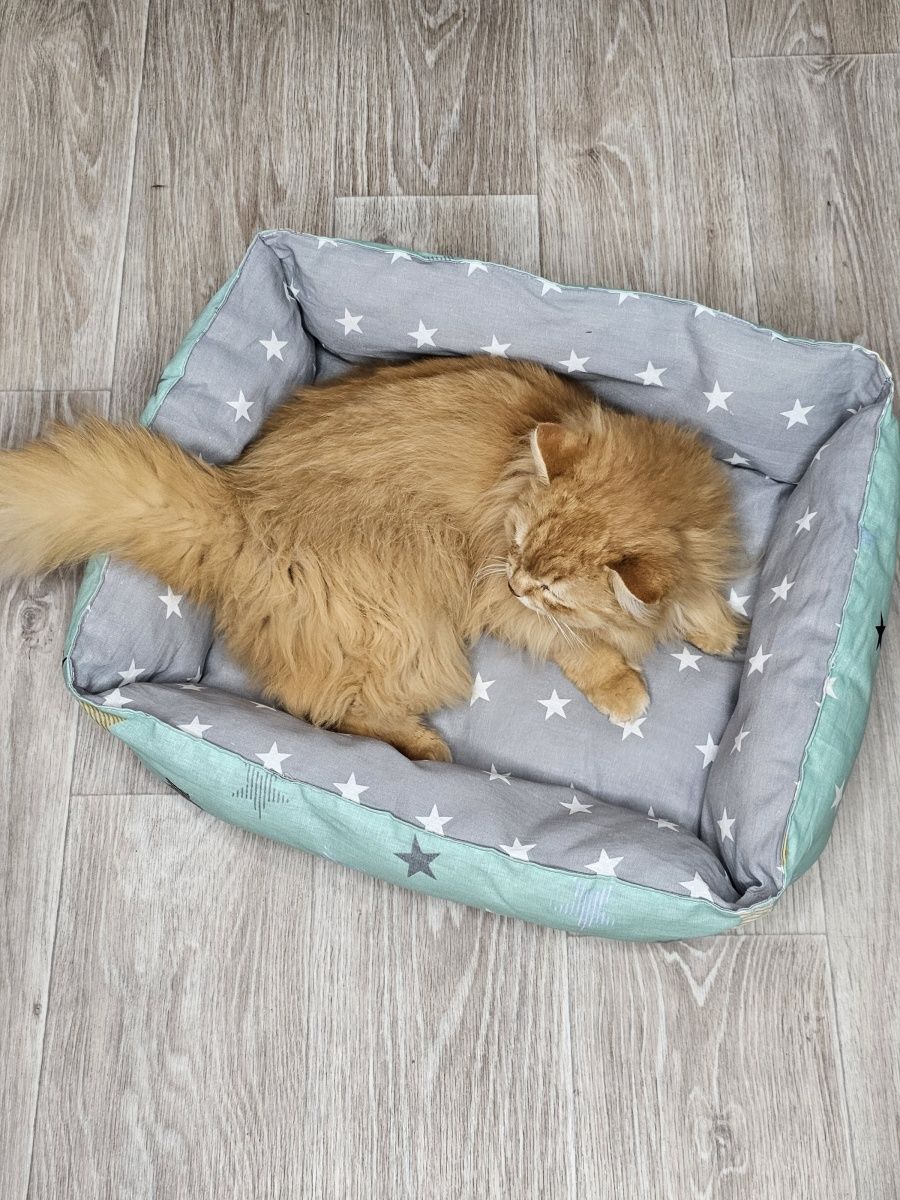 снимок Лежак для кошек и собак "звезды" серый, зеленый от магазина BIO-TEXTILES ОПТ